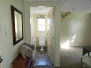 a bathroom with a toilet and a mirror at Quirky Villa in Whanganui