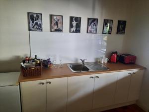 um balcão de cozinha com um lavatório e quadros na parede em Cock or Two Kink House em Cockatoo