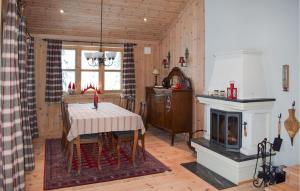 a dining room with a table and a fireplace at Stunning Home In Rjukan With Wifi in Rjukan