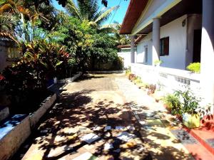 une cour d'une maison avec des arbres et des plantes dans l'établissement Maison d'hôtes Villa Mont du Pèlerin à Toamasina Madagascar, à Toamasina
