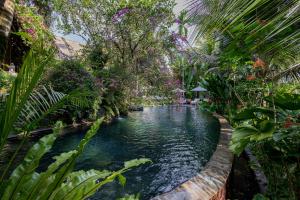 een zwembad met water in een tuin met bomen en planten bij Stone House in Ubud