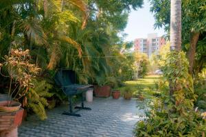 Gallery image of Country house, friends, meetings, well connected in Luque