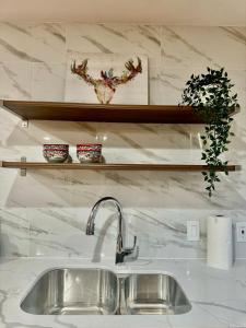 a kitchen counter with a sink and a shelf at 10% off! Chic Home with Expansive Backyard in San Mateo