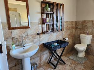 La salle de bains est pourvue d'un lavabo, de toilettes et d'un miroir. dans l'établissement Berlouri Guest House, à Hekpoort
