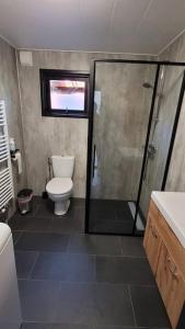 ein Bad mit einem WC und einer Glasdusche in der Unterkunft Boschalet Noord Veluwe in Doornspijk