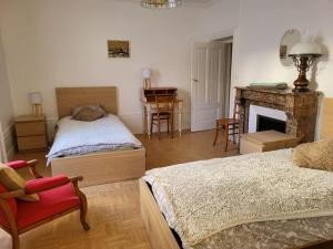 a bedroom with two beds and a fireplace at Gite la ferme des maraîchers in Albigny-sur-Saone