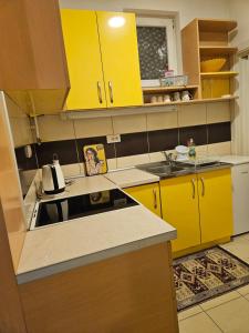 Kuchyň nebo kuchyňský kout v ubytování APARTMAN SUNFLOWER