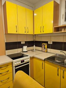 Kuchyň nebo kuchyňský kout v ubytování APARTMAN SUNFLOWER
