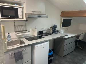 Η κουζίνα ή μικρή κουζίνα στο Studio8 proche Fac climatisé