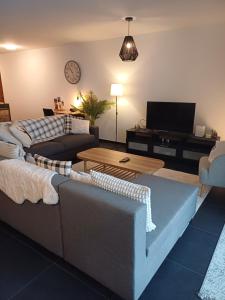Televízia a/alebo spoločenská miestnosť v ubytovaní Spacieux appart - 2 chambres à coucher incl Jacuzzi Privé