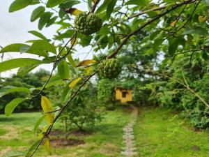 Fotografie z fotogalerie ubytování Sohana Eco Retreat Farmhouse - Karjat v destinaci Chinchavli