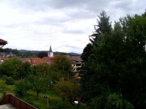 Blick auf eine Stadt mit einem Baum und einer Kirche in der Unterkunft Ferienwohnung Kroeschell in Bad Sachsa
