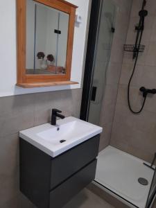 a bathroom with a sink and a shower at Ferienhaus Sieglinde mit Deichblick in Emden
