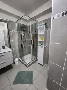ein Bad mit einer Dusche, einem WC und einem Waschbecken in der Unterkunft Appartement idéalement situé - la Seyne sur mer in La Seyne-sur-Mer