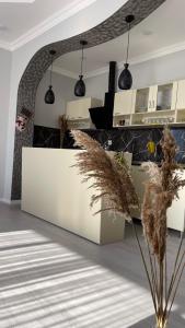 a kitchen with a white counter and some plants at AkbA-Frame3 in İsmayıllı