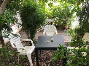 - deux chaises blanches et une table avec un service à thé dans l'établissement à pied dans l eau écolo 97434, à L'Ermitage-Les-Bains