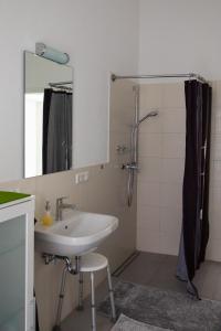 a bathroom with a sink and a shower at Schöne Unterkunft Nähe Schweiz in Gottmadingen