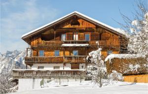 Bruck am ZillerにあるNice Apartment In Bruck Am Ziller With 1 Bedroomsの雪の大木造住宅