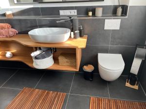 a bathroom with a sink and a toilet at Ferienwohnung im Geyserhof in Gau-Bischofsheim