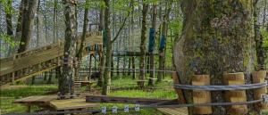 a playground in the middle of a forest at Aux P'tits Cabris in Lahayville