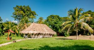 una cabaña con techo de paja y palmera en Camping Tequendama Playa Arrecifes Parque Tayrona en El Zaino