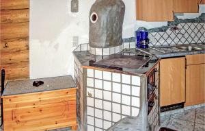 Kuchyň nebo kuchyňský kout v ubytování Ferienhaus In Den Bergen-Boden