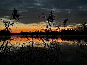 a sunset over a body of water with grass at Sirvis Apartamenty in Płaska +36 photos