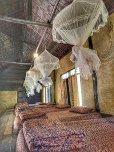 a group of four beds in a room with umbrellas at ห้องนอนรวม in Ban Tham