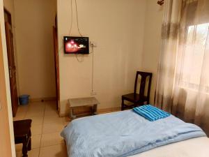 a bedroom with a bed and a tv on the wall at Twinkle Blue Inn in Namugongo
