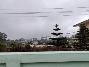 a pine tree sitting on top of a white wall at Yaal HomeStay in Kodaikānāl +2 photos