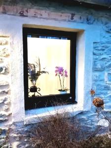 Fotografie z fotogalerie ubytování Gîte La Fontaine des Prés v destinaci Cherbourg en Cotentin