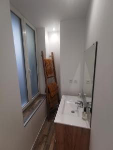 ein Bad mit einem Waschbecken und einem Spiegel in der Unterkunft La chambre de pousse in Boulogne-sur-Mer
