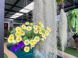 Ein Garten an der Unterkunft Chean-Chean House