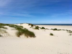 a beach with sand dunes and the ocean in the background at Haus Delft Jakea in Juist