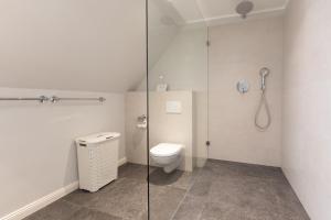 a bathroom with a toilet and a glass shower at Haus Delft Jaap Jacoba in Juist +14 photos