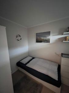 a small bedroom with a bed with a picture on the wall at Singlefewo Seemöwe für 1 Person in Staberdorf