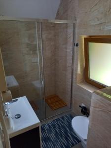 a bathroom with a shower with a sink and a toilet at Dacza Zakątek in Falsztyn