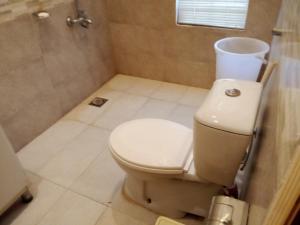 La salle de bains est pourvue d'une douche et de toilettes. dans l'établissement Independent House in Islamabad with Lawn Airport 15 min, à Islamabad