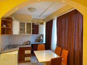 Kuchyň nebo kuchyňský kout v ubytování Hotel and Apartments Central City Prishtina