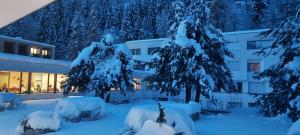 a snow covered tree in front of a building at Haus der Begegnung im Kloster Ilanz in Ilanz