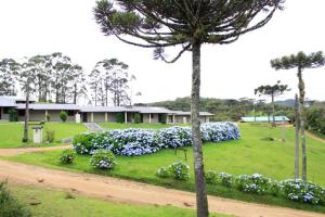una casa con flores azules y blancas en un campo en Vinha dos Lagos Hotel, en Rancho Queimado