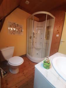 een badkamer met een toilet, een douche en een wastafel bij LA RUCHE in Mauriac