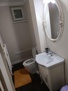 a bathroom with a toilet and a sink and a mirror at Residence Manu Targu Neamt in Târgu Neamț
