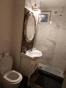a bathroom with a toilet and a sink and a mirror at Residence Manu Targu Neamt in Târgu Neamț