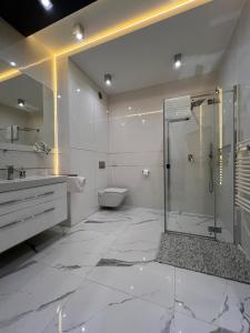羅茲的住宿－APARTAMENTY NOWE CENTRUM 2，带淋浴和卫生间的浴室