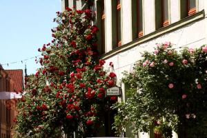 Zahrada ubytování Hotel Reingard