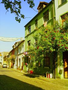 eine Straße mit einem grünen Gebäude und einem Baum mit roten Blumen in der Unterkunft Hotel Reingard in Wismar