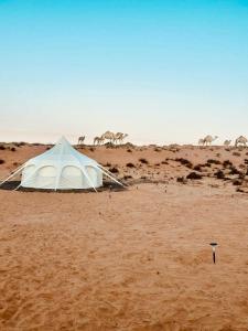 a tent in the desert with camels in the background at Infinity Camp in Bidiyah