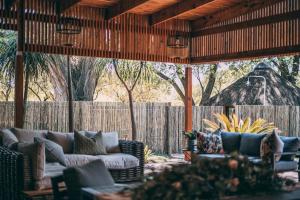 Gallery image of Tshikwalo Game Lodge in Klipdrift