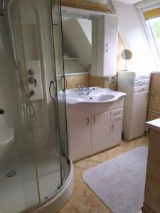 a bathroom with a shower and a sink at Beba in Heřmanovice